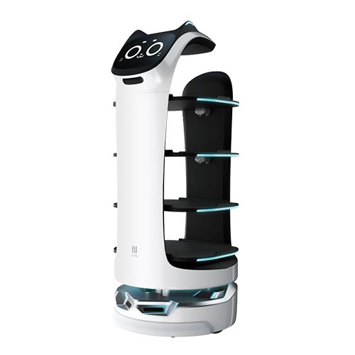 BellaBot
